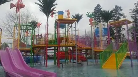 Parc aquatique de dessin animé pour enfants Slide Amusement Aire de jeux extérieure