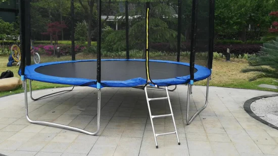 Prix ​​de gros Cadeau d'anniversaire 10FT Jumping Trampoline Outdoor Entertainment